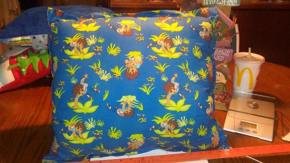 Go Diego Go Large stuffed Pillow 20x19in (more sizes c other items)