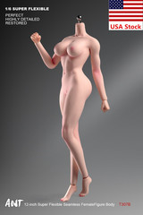 ANT T307 1/6 Female Sexy Large Bust Fitness Muscle Plump Body For 12”Figure