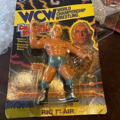 Blue Tights Ric Flair WCW Original San Francisco Toy Makers￼ RARE Holy Grail