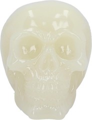 Nemesis Now Phosphorescent Glow in Dark Skull Figurine, Resin, Luminous Green, 1