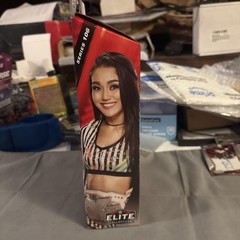 WWE Roxanne Perez Elite Collection Series 106 Wrestling Figure – New In Box!