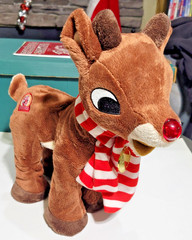 Rudolph the Red Nosed Reindeer 50 Years & Still Glowing Sings & Lights Up -Plush
