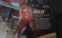 WWE Mattel Legends series #16 molly Holly w/chase the APA & Rey Mysterio