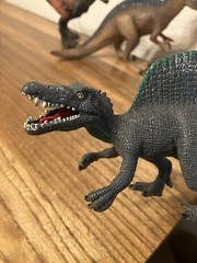Flaw Wear From Use 5 Schleich Figures Used. 4 Dinosaurs 1 Elephant