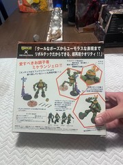 Kaiyodo Revoltech Teenage Mutant Ninja Turtles Michelangelo Action Figure