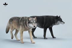 JXK 1/6 Common Gray Wolf Model Collections Animal Figure Decor Toys Xmas Gift
