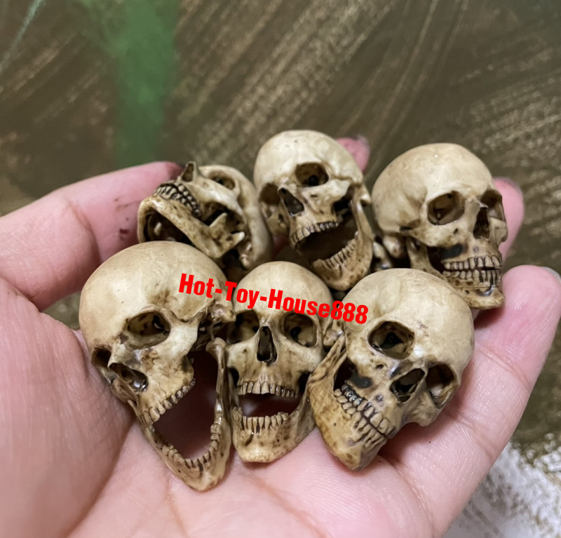1/6 Scale Skull Model Kits Accessory for Action Figure Custom Scene Set-Up