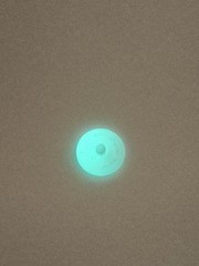 Tron reprodution DISC for vintage Tron action figures