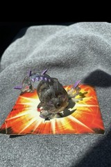 Bakugan B2 Darkus Hydranoid Single Headed Battle Brawler