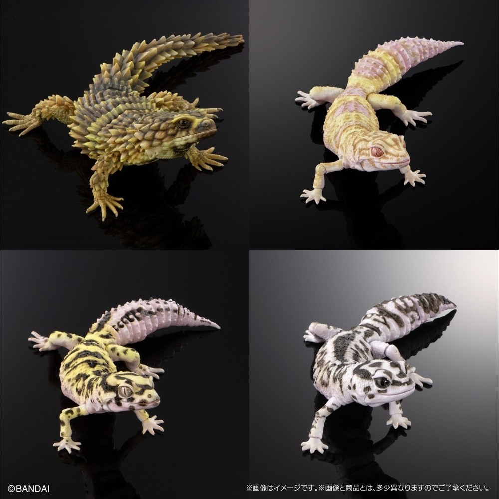 PSL The Diversity of Life on Earth Advance Selected Edition 02 Gecko Bandai