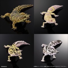 PSL The Diversity of Life on Earth Advance Selected Edition 02 Gecko Bandai