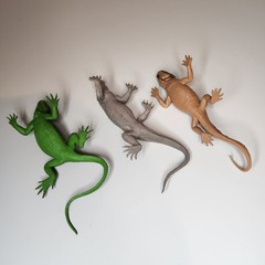 Realistic Lizard Toy Figures Set of 3 Iguana Komodo Dragon Frilled Lizard 8″