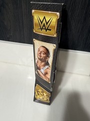WWE Elite Collection Defining Moments Rob Van Dam Action Figure Ringside Exclus