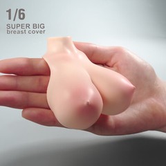1/6 Female Pale Huge Breast Kits Cover Model Fit 12” PH TBL Figure Body Doll