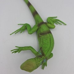 Safari Ltd. Iguana Baby (ca. 30 cm ) 1997