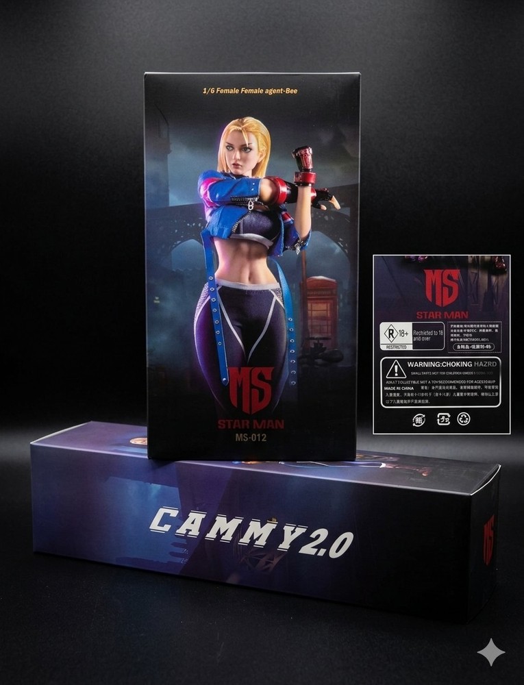 STAR MAN MS-012 1/6 Street Girl Female Fighter 6 Cammy 12″ Action Figure