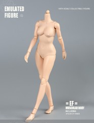 US SOTCK 1:6 Female Pale Skin Large Breast 12inch Flexible Figure Body Model Toy