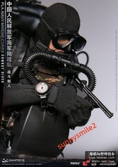 DAMTOYS 78073 1/6 PLA Navy Marine Corps Combat Frogman Special Forces In Stock
