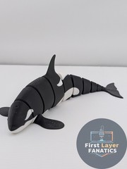 Articulated “Classic Orca” Fidget Toy, 3D Printed Killer Whale Desk Buddy-Flexi
