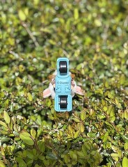 MINISO Disney Zootopia Fun Travel Series – Assistant Mayor Dawn Bellwether