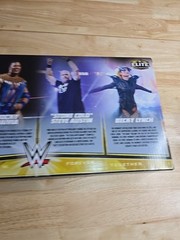 WWE Hulk Hogan Rocky Maivia Stone Cold Steve Austin and Becky Lynch Figure 4PK