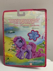 G3 My Little Pony Petal Blossom MIP MIB MLP