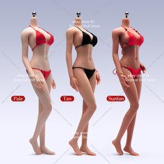 ANT T303 1/6 Female Slender Flexible Seamless Body Details For 12”Action Figure