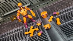 Glyos Warlords of Wor Harvest Rot Bog-Nar Battles Tribes Pumpkin Spice Orange