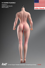 ANT T307 1/6 Female Sexy Large Bust Fitness Muscle Plump Body For 12”Figure