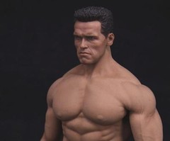 Custom 1/6 Arnold Schwarzenegger Head Sculpt 2.0 Terminator T800 for PHICEN M34
