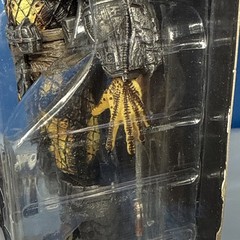 NECA AVP Alien vs Predator CELTIC PREDATOR Series 14 Figure Authentic 2015 Read