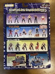 WWE WWF Jakks Pacific Jeff Jarrett DTA Tour Series 2 Wrestling Figure BCA AEW