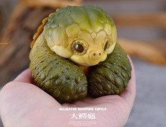Alligator Snapping Turtle Figure Model Resin Collection Animal 8cm Doll Toys