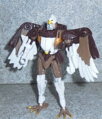 Transformers Kingdom SKYWARP War For Cybertron Beast Wars
