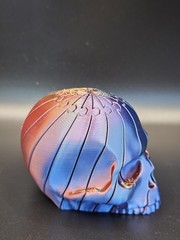 3D Printed Extended Scull Fidget Toy