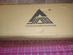 JIAOU DOLL 1/6 JOQ-19B-YS Female GIRL BODY SMALL Bust Natural Skin NEW IN BOX