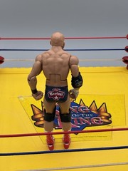 Scott Dawson WWE NXT Takeover Series Elite Wrestling Revival Action Figure