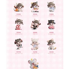 TNT SPACE Baby Zoraa Meow Cat Face Mini Series Blind Box Figure Toys Gift