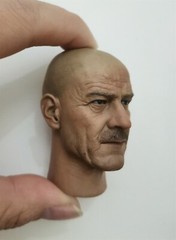 1/6 Scale Breaking Bad Walter White Head Carved Model DIY Hot Toys Action Figure