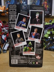 DC Direct UnMasked! Secret Files: Series 2 Barbara Gordon/Batgirl New/MOC
