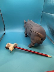 Ace Ventura And rhino Pen/pencil Holder