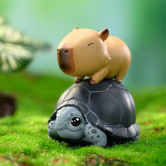 Capybara Series 1PC Blind Box Figures, Random Design Cute Figures Collectible To