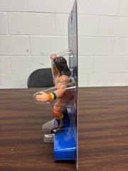 WWE LJN Ultimate Warrior Blue Card