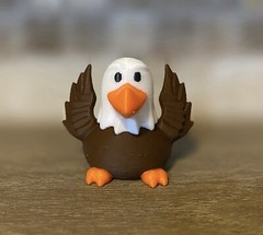 American Eagle Duck