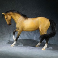 Mr.Z 1/6 Scale Animal Resin Simulation Toy Akhal-Teke Horse Figure 6 Color Model