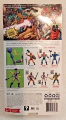 2021 MOTU Masters of the Universe Origins Evil-Lyn Mattel New
