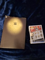 CM Punk ECW/WWE Ultimate Edition, Survivor series Mattel Creations, & Funko #182
