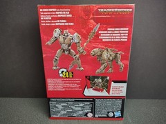 Transformers Cheetor Rise of the Beasts Studio Series 98 Action Figure New inBox