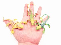 Artificial Reptile Lizard Figures Set for Kids – 12pcs Animal Toys Gift