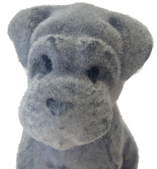 Cool Things Puppy Club Friends Dogz House Blind Bag Miniature SCHNAUZER & house